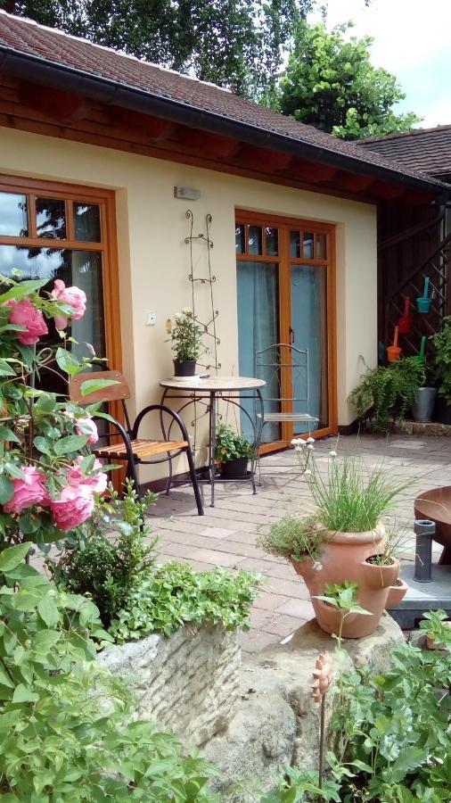 Apartment Mit Gartenblick Eckersdorf Exteriör bild