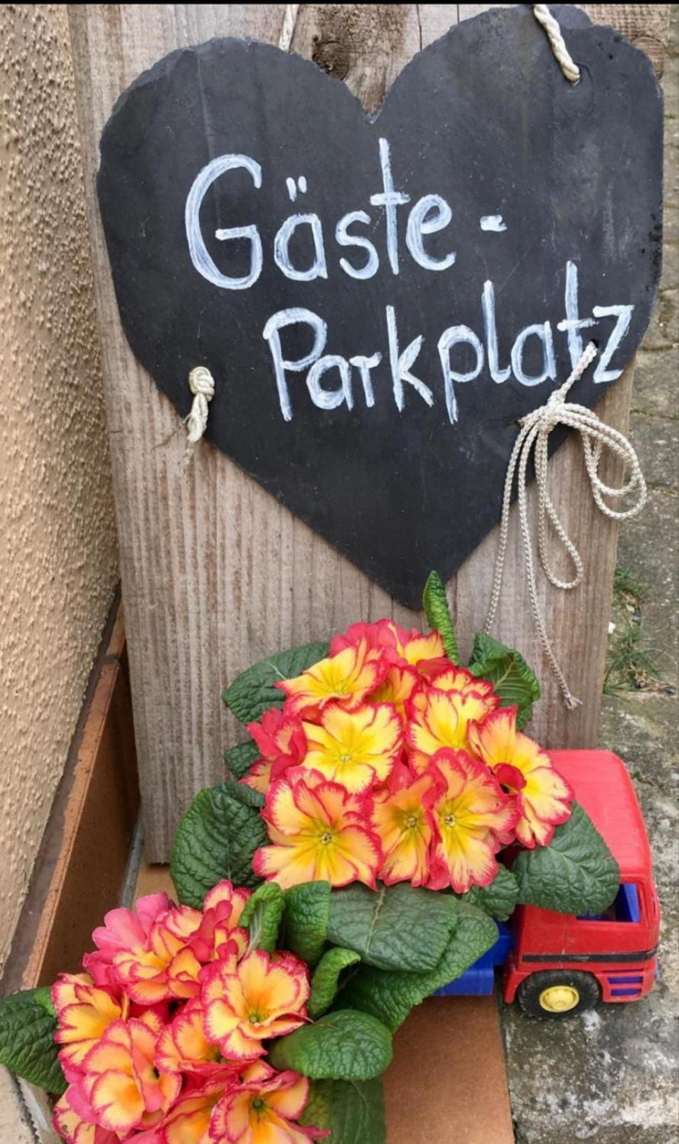 Apartment Mit Gartenblick Eckersdorf Exteriör bild