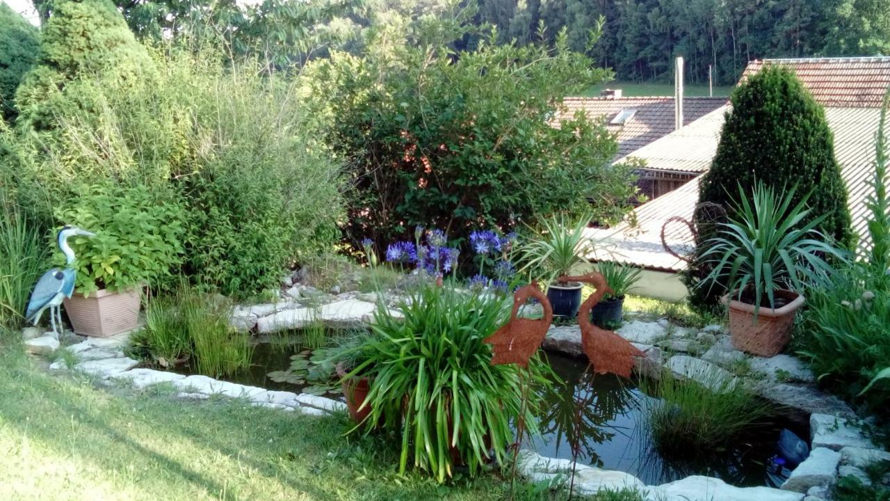 Apartment Mit Gartenblick Eckersdorf Exteriör bild